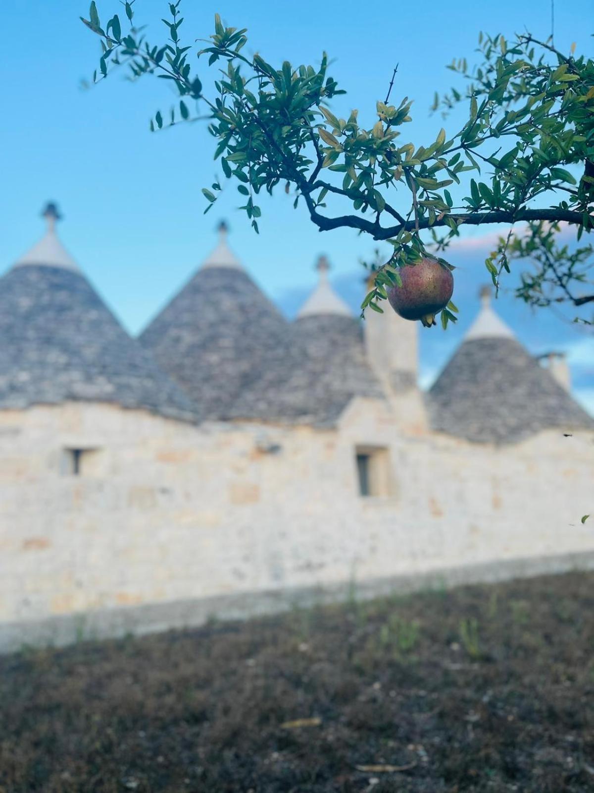 Scardino Trulli Hotel Locorotondo Luaran gambar